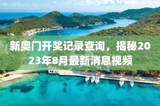 新奥门开奖记录查询，揭秘2023年8月最新消息视频