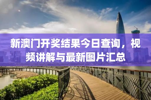 新澳门开奖结果今日查询，视频讲解与最新图片汇总