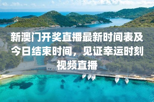新澳门开奖直播最新时间表及今日结束时间，见证幸运时刻视频直播