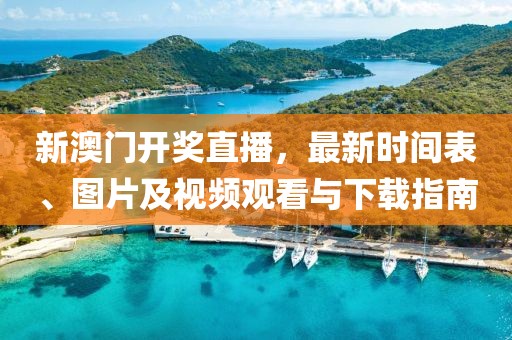 新澳门开奖直播，最新时间表、图片及视频观看与下载指南