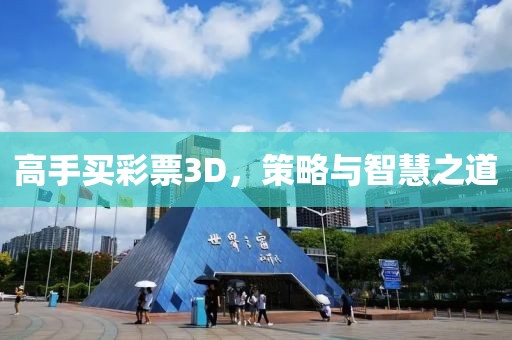 高手买彩票3D，策略与智慧之道