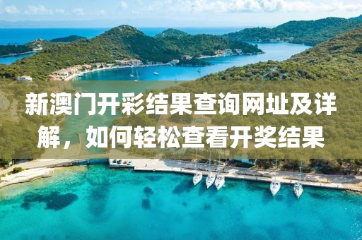新澳门开彩结果查询网址及详解，如何轻松查看开奖结果
