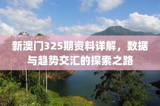 新澳门325期资料详解，数据与趋势交汇的探索之路