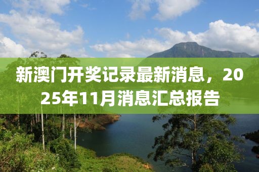新澳门开奖记录最新消息，2025年11月消息汇总报告