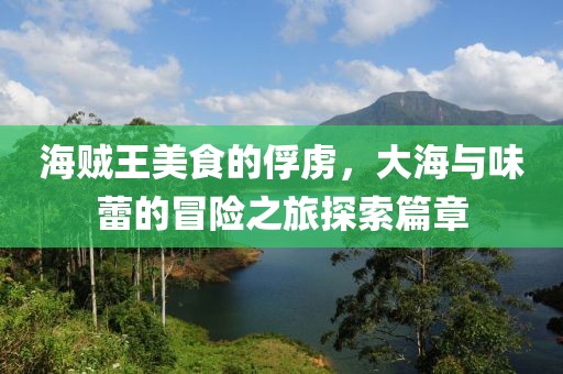 海贼王美食的俘虏，大海与味蕾的冒险之旅探索篇章