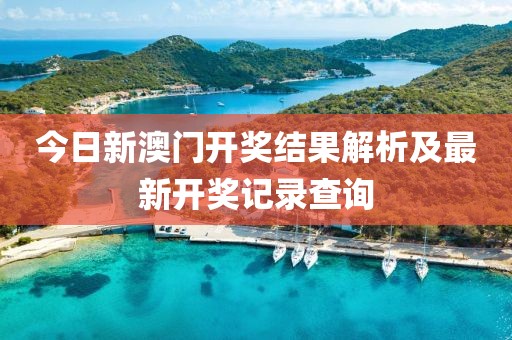 今日新澳门开奖结果解析及最新开奖记录查询