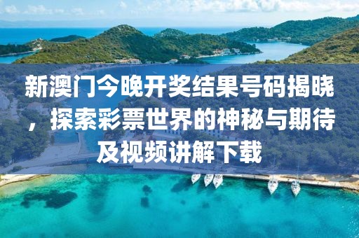 新澳门今晚开奖结果号码揭晓，探索彩票世界的神秘与期待及视频讲解下载