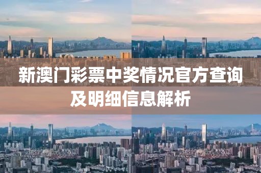 新澳门彩票中奖情况官方查询及明细信息解析