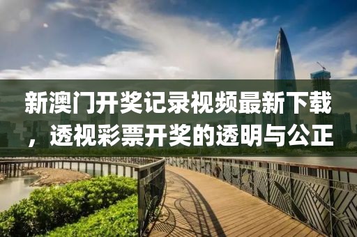 新澳门开奖记录视频最新下载，透视彩票开奖的透明与公正