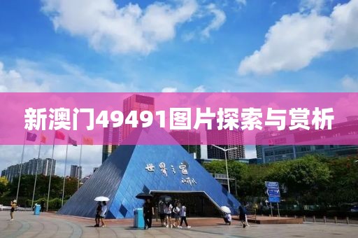 新澳门49491图片探索与赏析