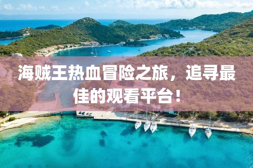 海贼王热血冒险之旅，追寻最佳的观看平台！