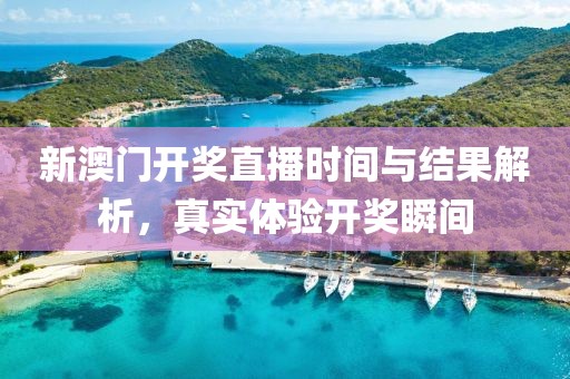 新澳门开奖直播时间与结果解析，真实体验开奖瞬间