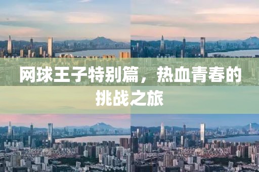 网球王子特别篇，热血青春的挑战之旅