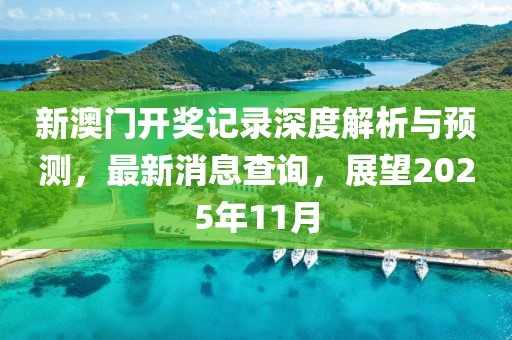 新澳门开奖记录深度解析与预测，最新消息查询，展望2025年11月