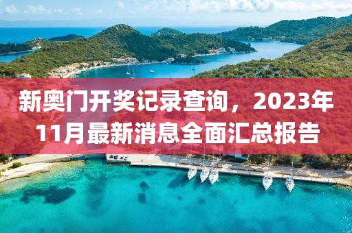 新奥门开奖记录查询，2023年11月最新消息全面汇总报告