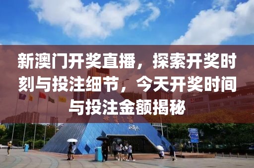 新澳门开奖直播，探索开奖时刻与投注细节，今天开奖时间与投注金额揭秘