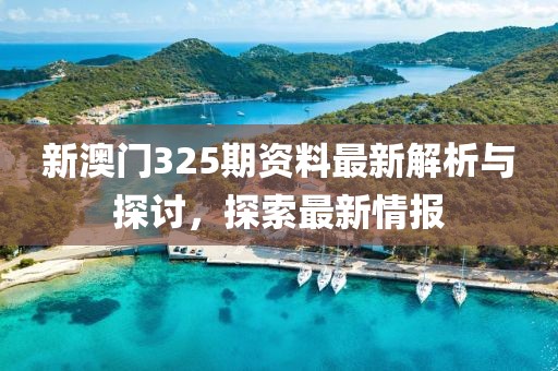 新澳门325期资料最新解析与探讨，探索最新情报