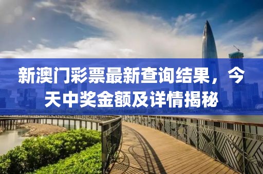 新澳门彩票最新查询结果，今天中奖金额及详情揭秘