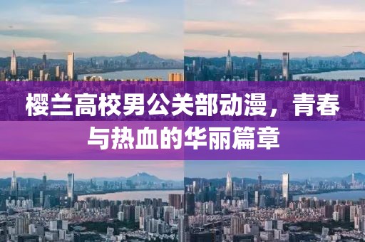 樱兰高校男公关部动漫，青春与热血的华丽篇章