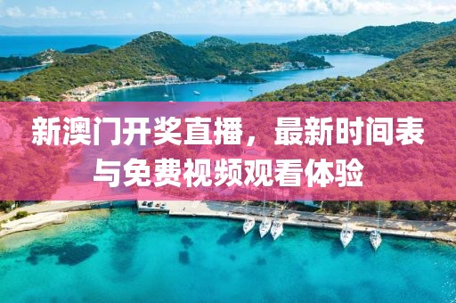 新澳门开奖直播，最新时间表与免费视频观看体验
