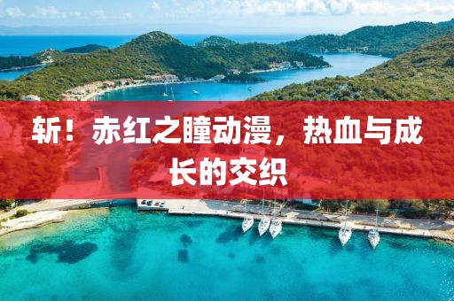 斩！赤红之瞳动漫，热血与成长的交织