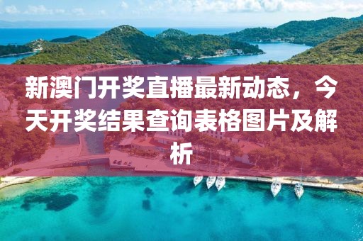 新澳门开奖直播最新动态，今天开奖结果查询表格图片及解析