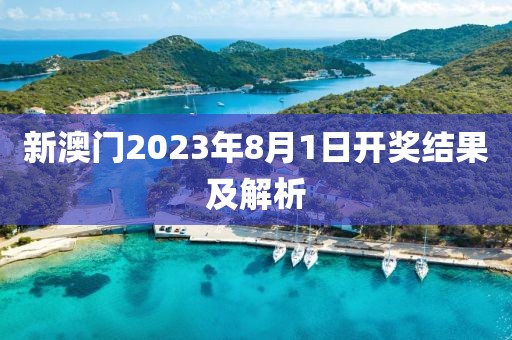 新澳门2023年8月1日开奖结果及解析