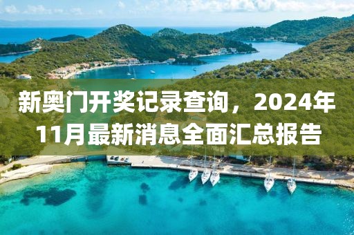 新奥门开奖记录查询，2024年11月最新消息全面汇总报告