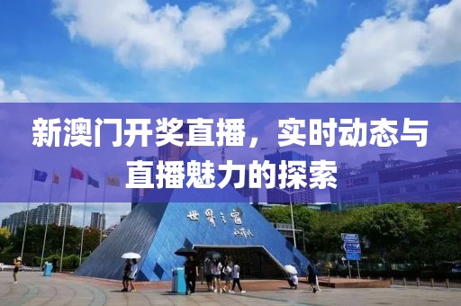 新澳门开奖直播，实时动态与直播魅力的探索