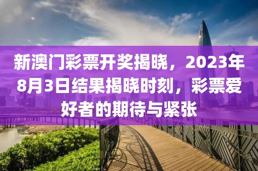 新澳门彩票开奖揭晓，2023年8月3日结果揭晓时刻，彩票爱好者的期待与紧张