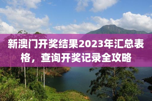 新澳门开奖结果2023年汇总表格，查询开奖记录全攻略