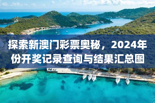 探索新澳门彩票奥秘，2024年份开奖记录查询与结果汇总图