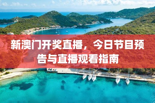 新澳门开奖直播，今日节目预告与直播观看指南
