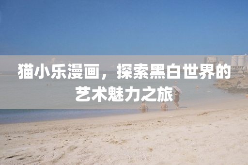 猫小乐漫画，探索黑白世界的艺术魅力之旅