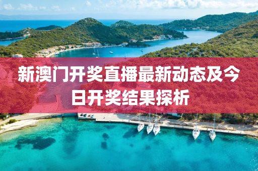 新澳门开奖直播最新动态及今日开奖结果探析