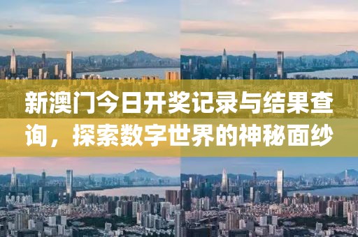 新澳门今日开奖记录与结果查询，探索数字世界的神秘面纱
