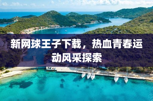 新网球王子下载，热血青春运动风采探索