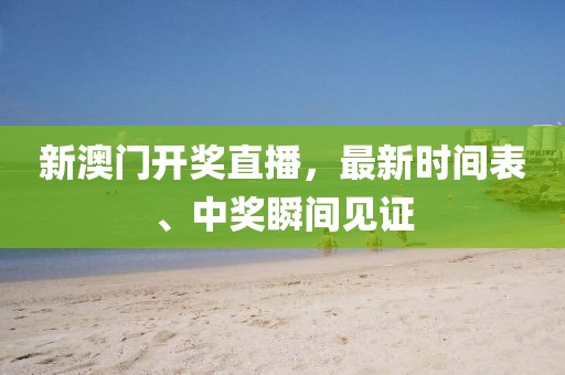 新澳门开奖直播，最新时间表、中奖瞬间见证