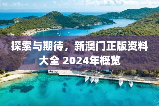 探索与期待，新澳门正版资料大全 2024年概览