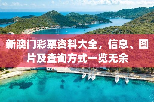 新澳门彩票资料大全，信息、图片及查询方式一览无余