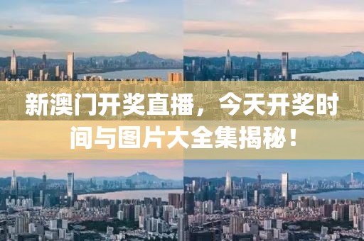 关于我们 第37页