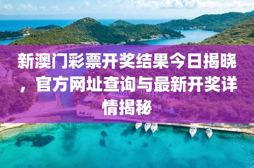 新澳门彩票开奖结果今日揭晓，官方网址查询与最新开奖详情揭秘