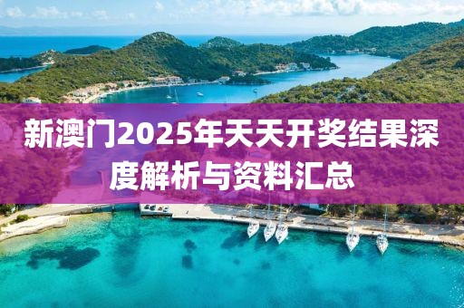 新澳门2025年天天开奖结果深度解析与资料汇总