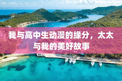 我与高中生动漫的缘分，太太与我的美好故事