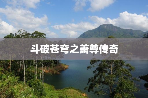 斗破苍穹之萧尊传奇