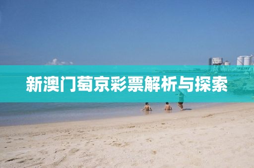 新澳门萄京彩票解析与探索